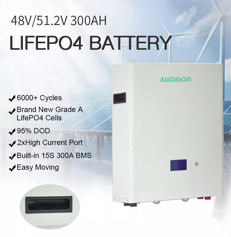 PW48 Aumoon Power Wall Home Lifepo4 Battery Solar Energy Storage System Wall mounted Lithium Batteries Lifepo4 48V 100A 200A Batteries